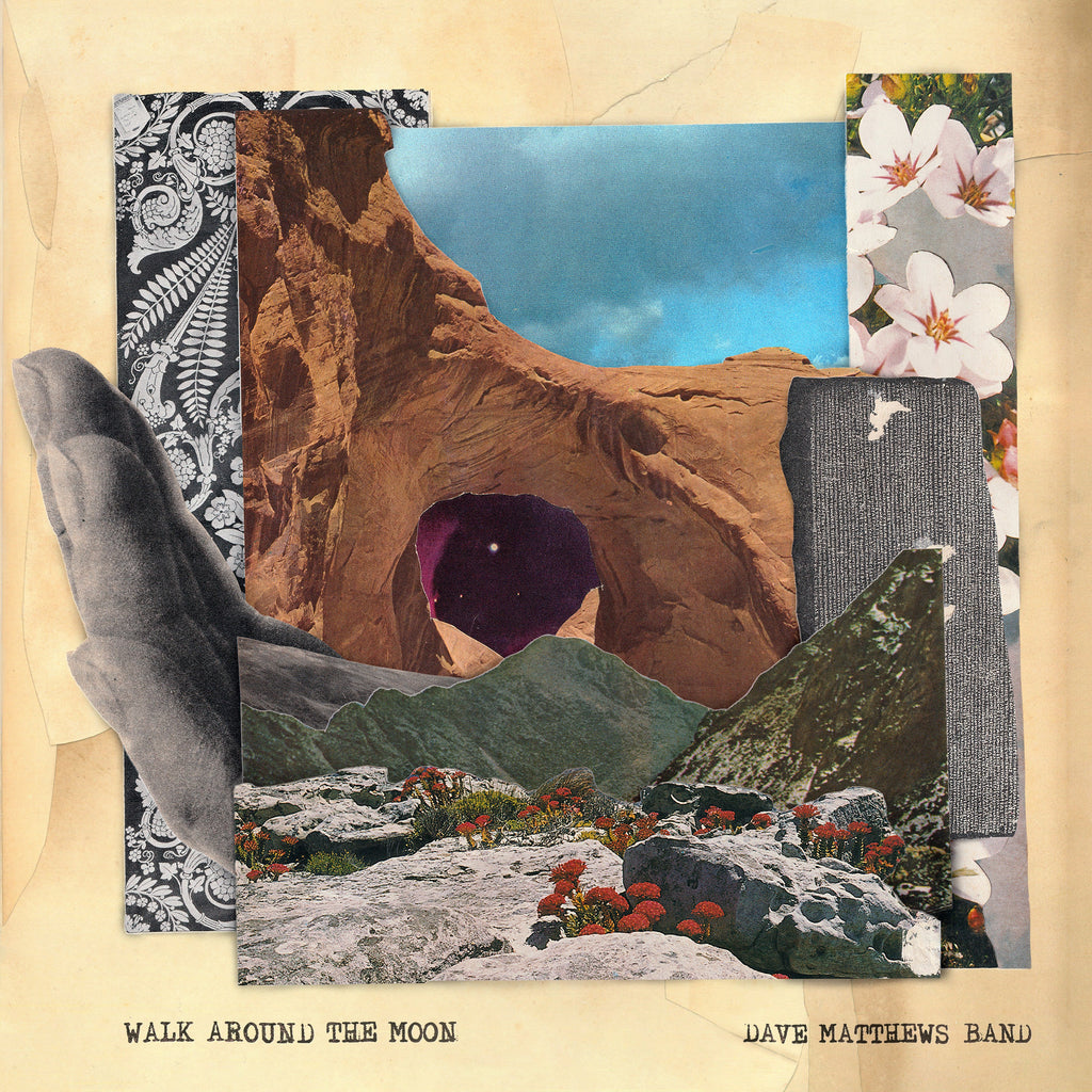 Dave Matthews Band - Walk Around The Moon (Clear Vinyl, Indie Exclusive) (())
