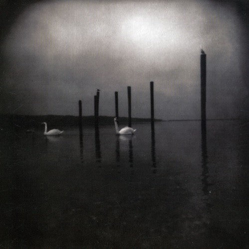 [Discounted] Om - Conference of the Birds [Clear w/ Purple Vinyl]  (New Vinyl LP)