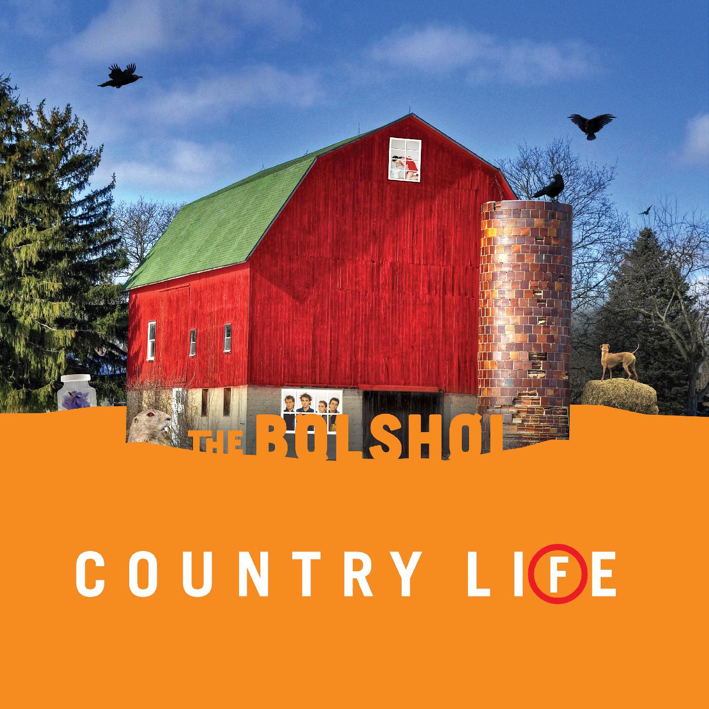 The Bolshoi - Country Life (GREEN & ORANGE VINYL) ((Vinyl))