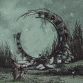 The World Is a Beautiful Place & I Am No Longer Afraid to Die - Illusory Walls [Clear Vinyl]   (New Vinyl LP)