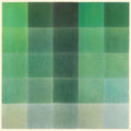 Tim Hill - Shades Of Green ((Vinyl))